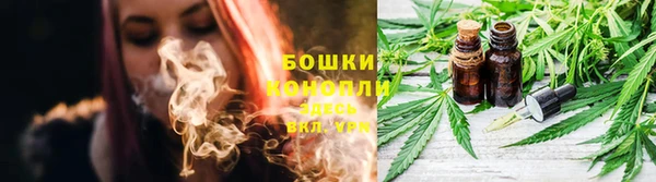 СК Белокуриха