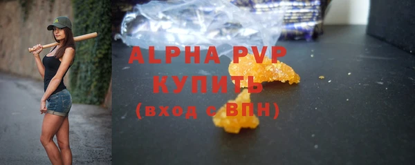 СК Белокуриха