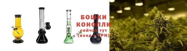 каннабис Беломорск