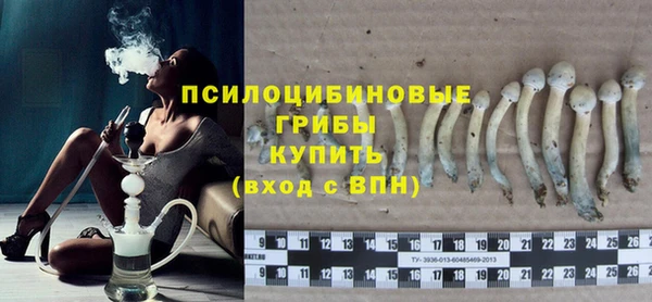 СК Белокуриха