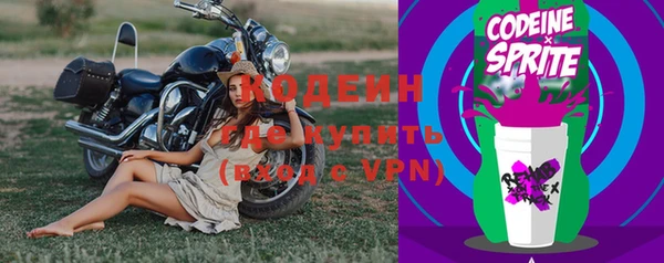 СК Белокуриха