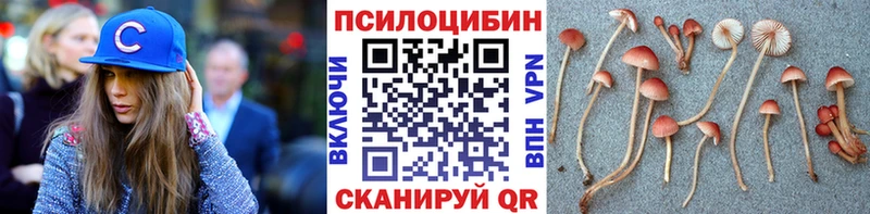МЕГА ONION  закладка  Оха  Псилоцибиновые грибы ЛСД 